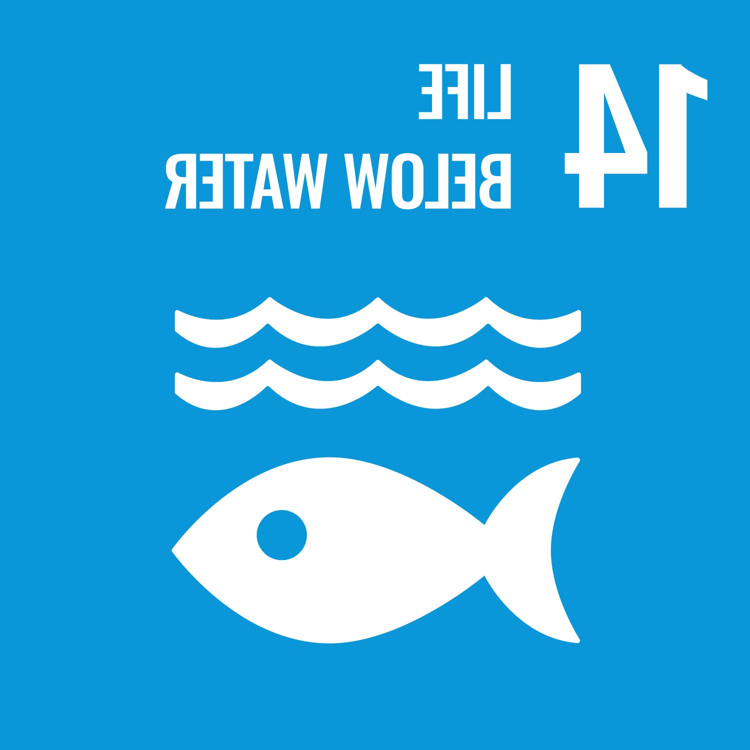 United 金沙中国's 17 Sustainable Development Goals: Goal Number 14: Life Below Water